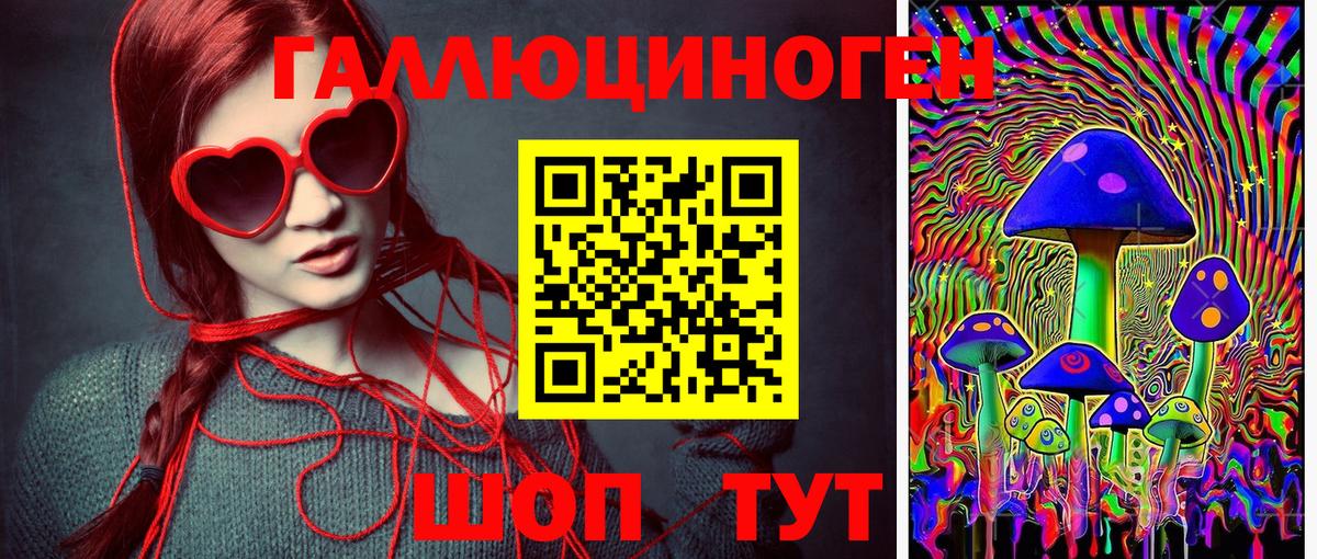 Галлюциногенные грибы прущие грибы  Вход с VPN  Зима  Псилоцибиновые грибы мицелий 